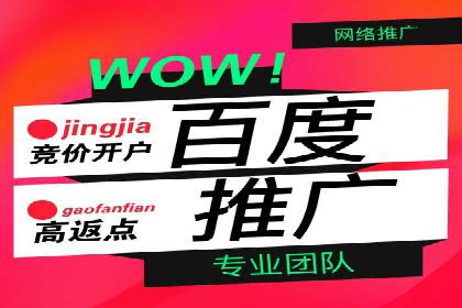 案例解析：百度推广代理助力企业实现精准引流